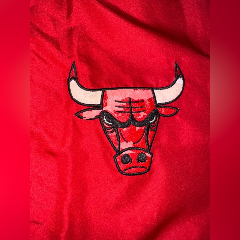 Reversible Chicago Bulls Jacket - Picture 11 of 16